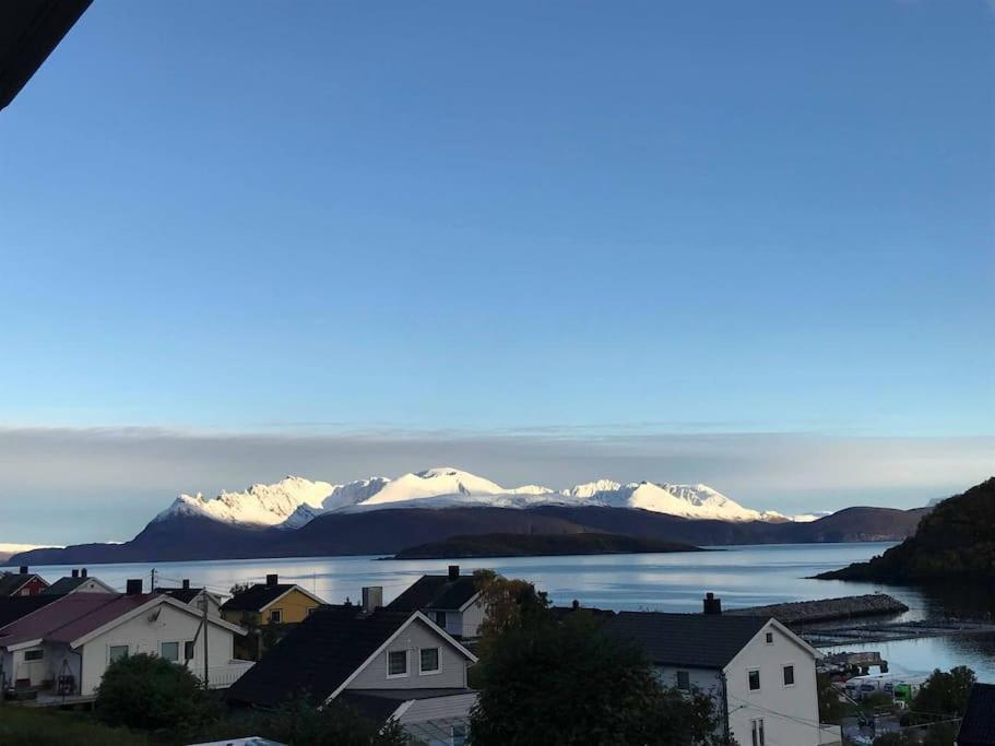 Perfect Apartment For Whale Safari At Skjervoy! Buitenkant foto